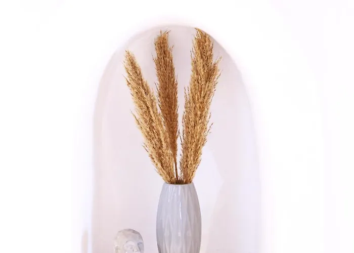 Daire Whitelist New In